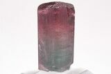 Bi-Colored Elbaite Tourmaline Crystal - Coronel Murta, Brazil #206250-2